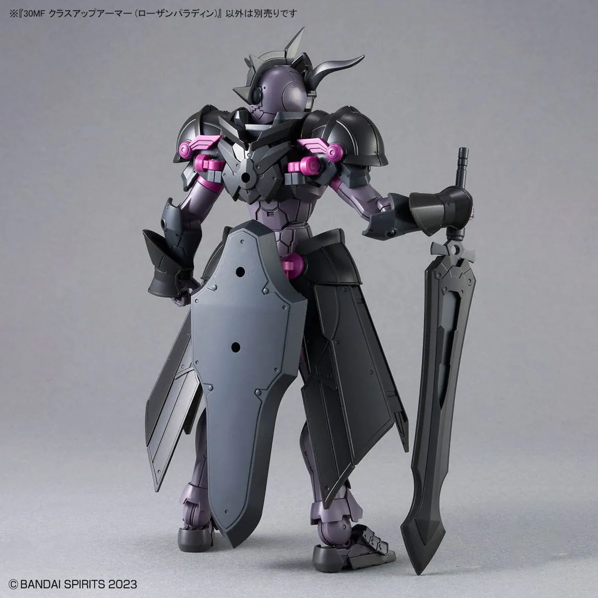 30 Minutes Fantasy #04 Class-Up Armor Rosan Paladin Accessory Set